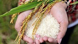 Về Chúng Tôi images